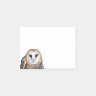 Barn Owl Photo 4x3 Post-it Notes Stationery