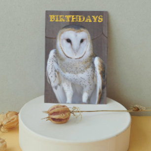 Barn Owl Photo Funny Birthday Card