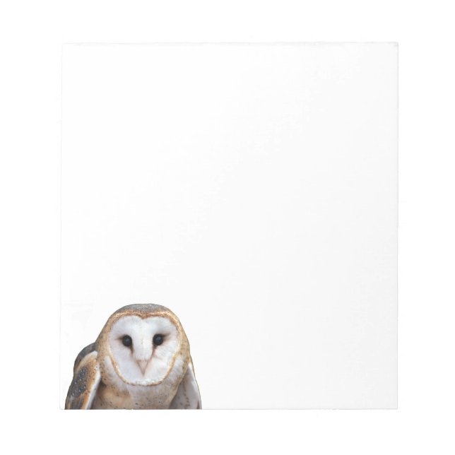 Barn Owl Photo Note Cards Stationery (Front)