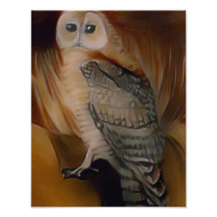 Barn Owl 🦉  Photo Print