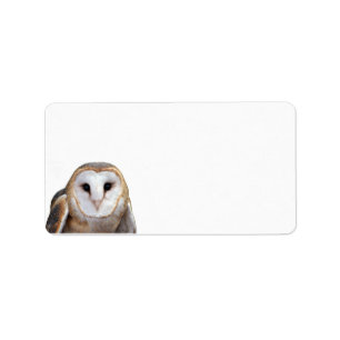 Barn Owl Photo Stationery Return Address Label