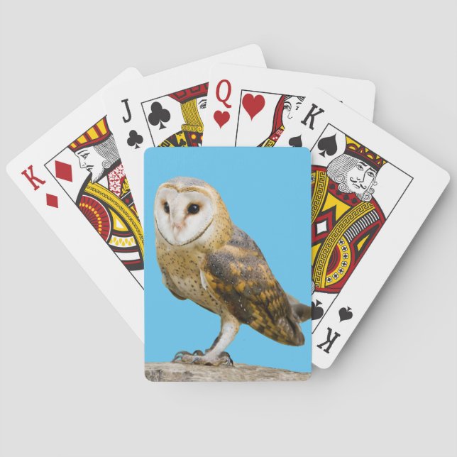 Barn Owl Playing Cards (Back)