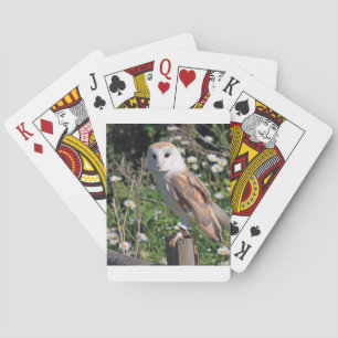 Barn Owl Playing Cards