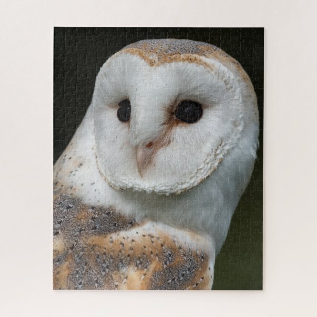 Barn Owl Portrait Jigsaw Puzzle (Vertical)