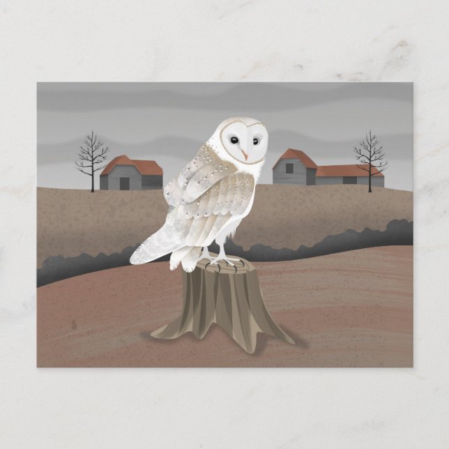 Barn Owl Postcard (Front)