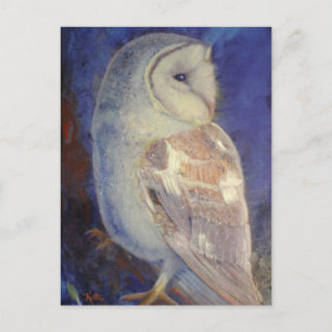 Barn Owl Postcard