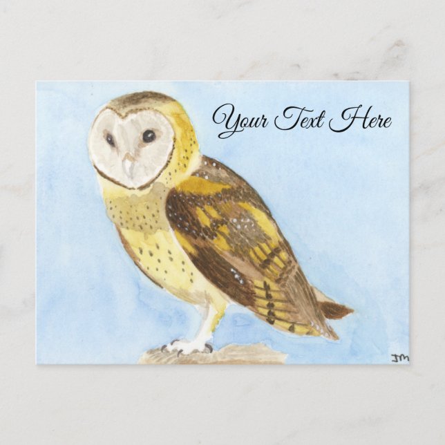 Barn Owl Postcard (Front)
