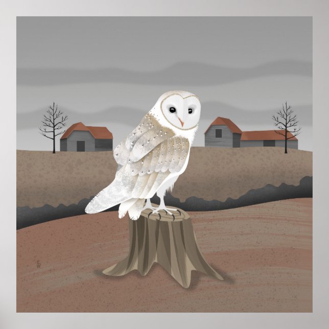 Barn Owl Poster (Front)