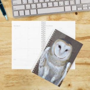 Barn Owl Raptor Photo Calendar Planner