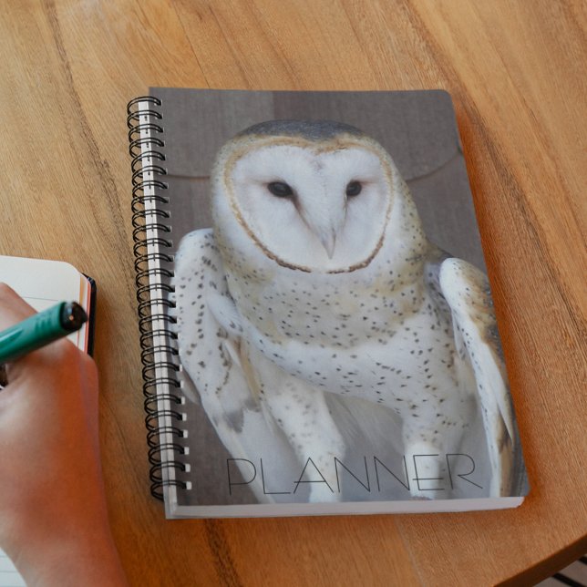 Barn Owl Raptor Photo Calendar | Planner (In Situ)