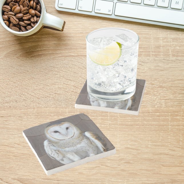Barn Owl Raptor Photo Stone Coaster (In Situ Office)