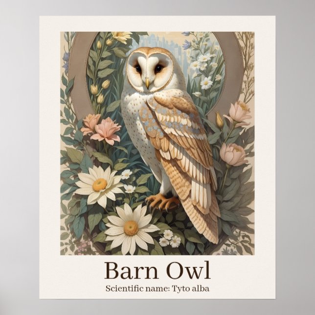 Barn Owl Scientific Name Wildlife Poster (Front)