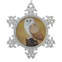 Barn Owl