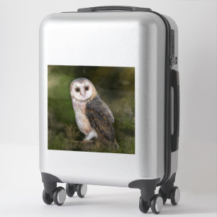Barn Owl Sticker