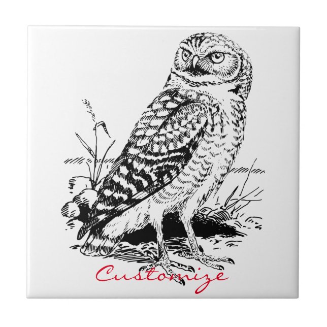 Barn Owl Thunder_Cove Ceramic Tile (Front)