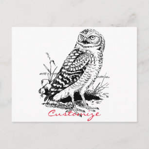 Barn Owl Thunder_Cove Postcard