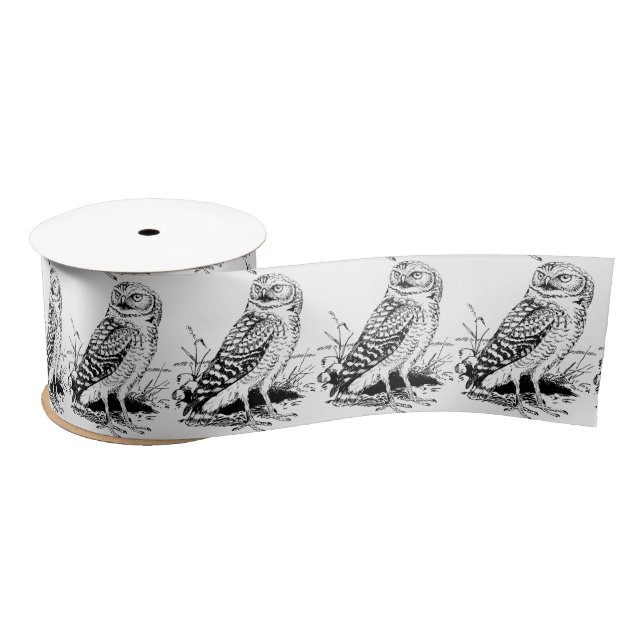 Barn Owl Thunder_Cove Satin Ribbon (Spool)