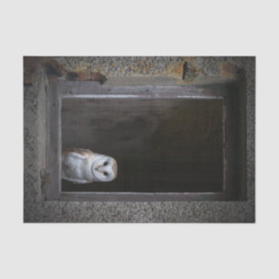 Barn Owl Tissue Paper