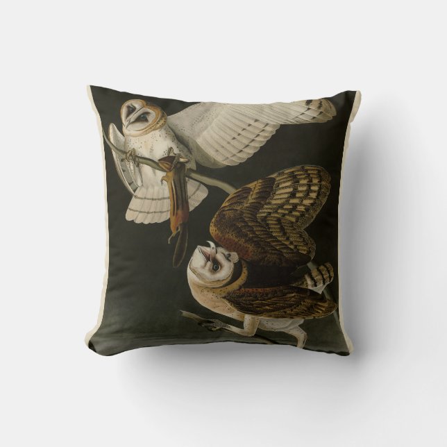 Barn Owl (Tyto alba) Audubon's Birds of America Cushion (Front)