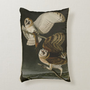 Barn Owl (Tyto alba) Audubon's Birds of America Decorative Cushion