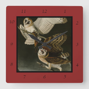 Barn Owl (Tyto alba) Audubon's Birds of America Square Wall Clock