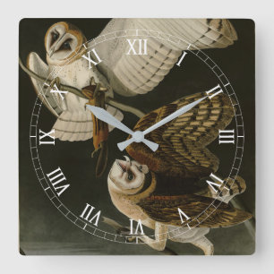 Barn Owl (Tyto alba) Audubon's Birds of America Square Wall Clock