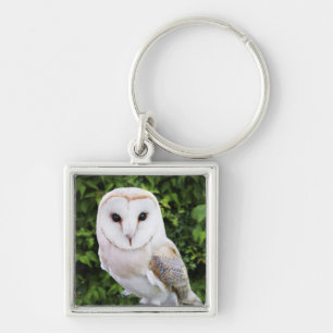Barn owl (Tyto Alba) on glove Key Ring