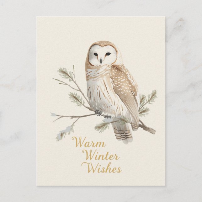 Barn Owl Warm Winter Wishes Watercolor Holiday Postcard (Front)