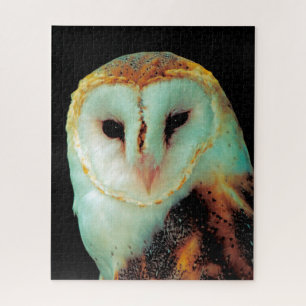 Barn Owls -Birds of Prey. Jigsaw Puzzle