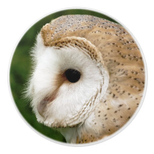 BARN OWLS CERAMIC KNOB
