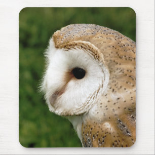 BARN OWLS MOUSE PAD