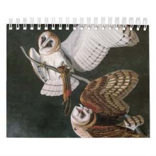 Barn Owls, the Birds of America John James Audubon Calendar