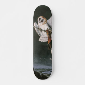 Barn Owls, the Birds of America John James Audubon Skateboard