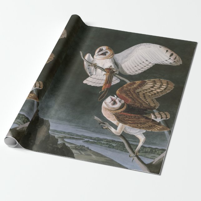 Barn Owls, the Birds of America John James Audubon Wrapping Paper (Unrolled)