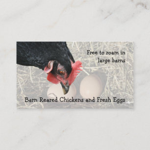Barn reared chicken eggs business card