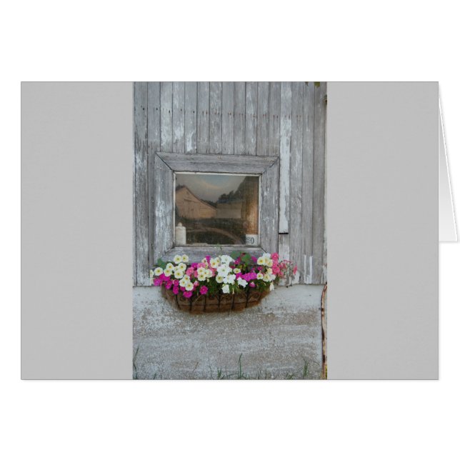 Barn Reflection (Front Horizontal)