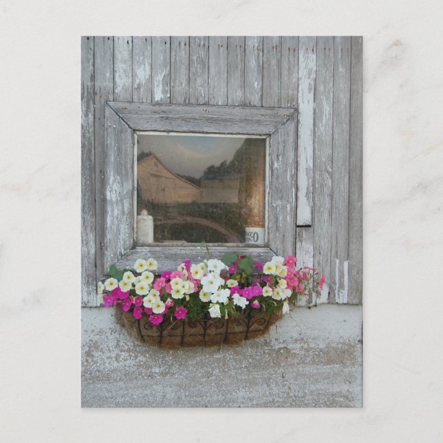 Barn Reflection Postcard (Front)