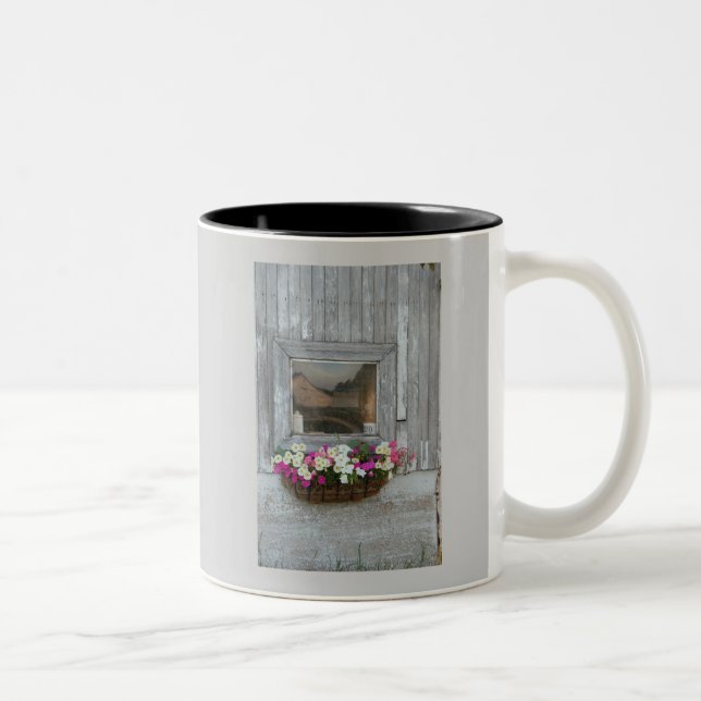 Barn Reflection Two-Tone Coffee Mug (Right)