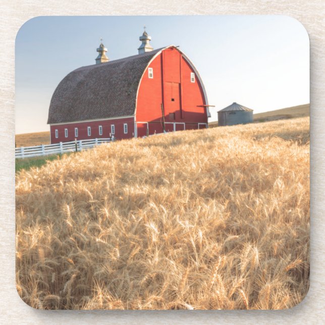 Barn, summer wheat fields near Sprague, Eastern 1 Coaster (Front)
