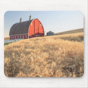 Barn, summer wheat fields near Sprague, Eastern 1 Mouse Pad