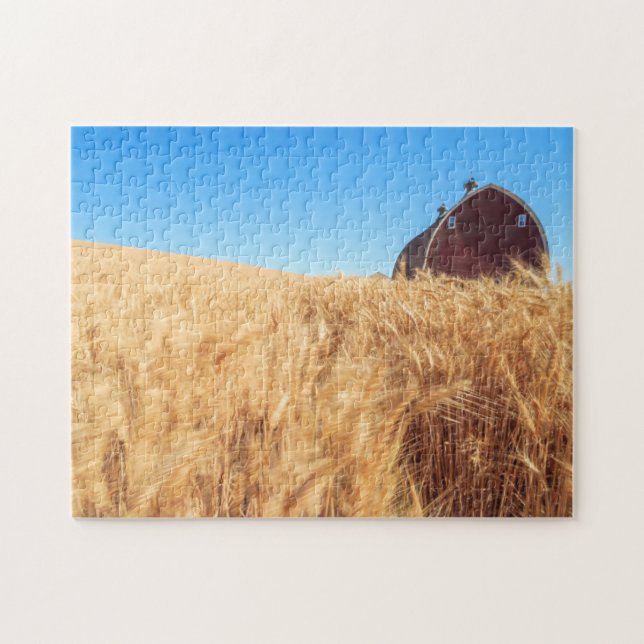 Barn, summer wheat fields near Sprague, Eastern 2 Jigsaw Puzzle (Horizontal)