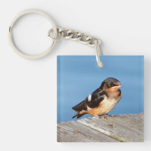 Barn Swallow acrylic key chian Key Ring