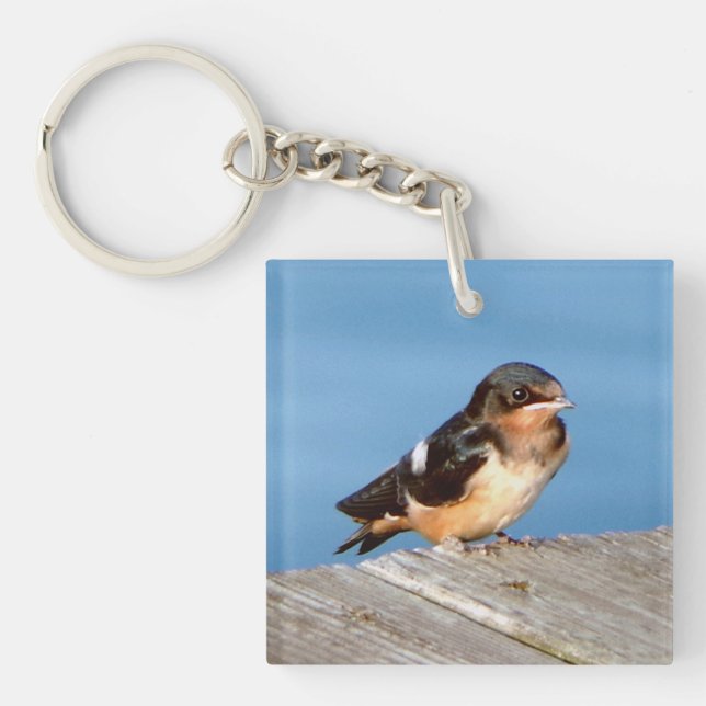 Barn Swallow acrylic key chian Key Ring (Front)