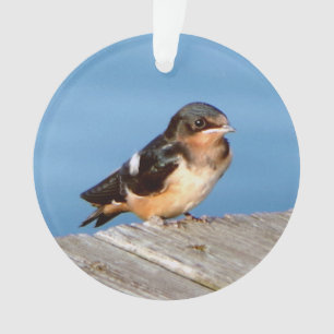 Barn Swallow acrylic ornament
