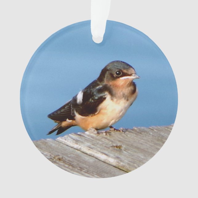 Barn Swallow acrylic ornament (Front)