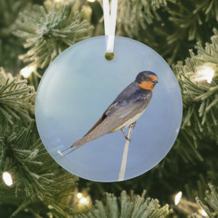 Barn Swallow Bird Photo Ornament