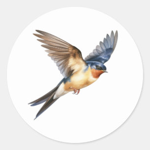 Barn Swallow Classic Round Sticker