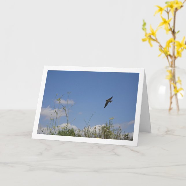 Barn Swallow Country Portrait Card (Yellow Flower)