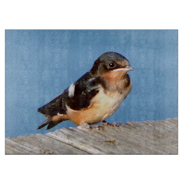 Barn Swallow cutting board (Front)