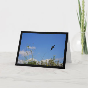 Barn Swallow in Flight Card